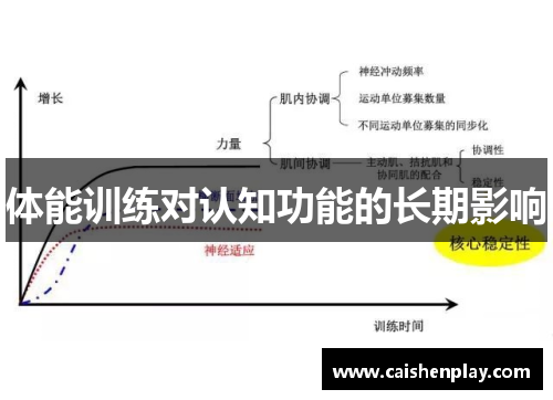 体能训练对认知功能的长期影响