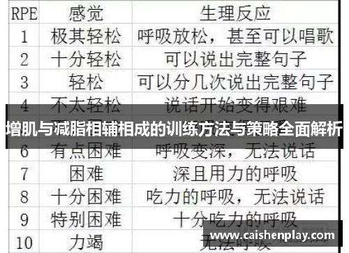 增肌与减脂相辅相成的训练方法与策略全面解析